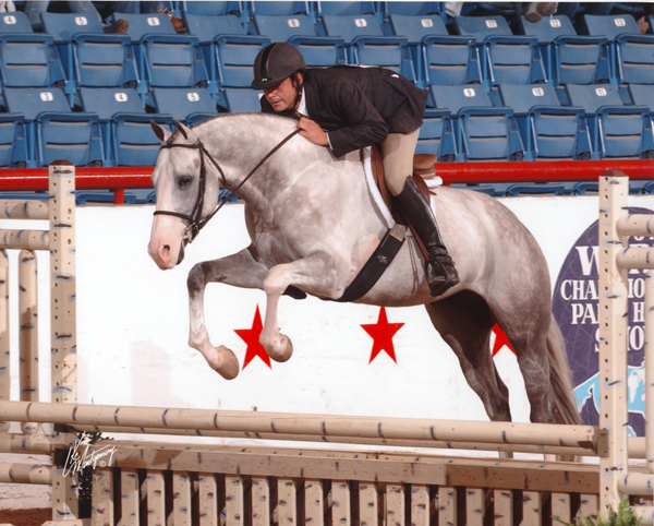 iron star man stallion
